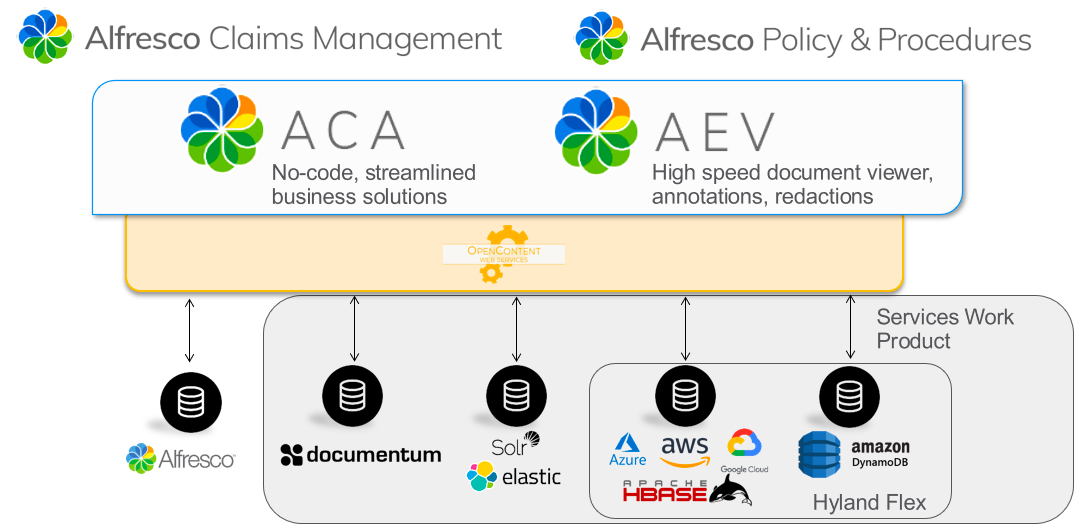 Content Accelerator and Enterprise Viewer overview