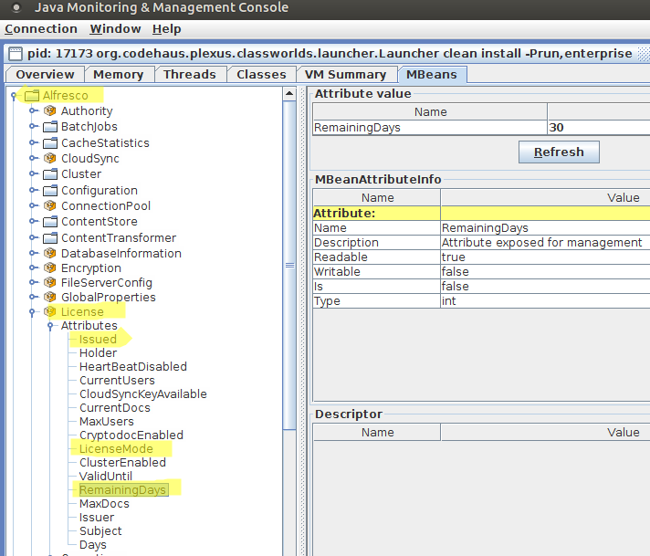 dev-extensions-repo-admin-console-mbeans