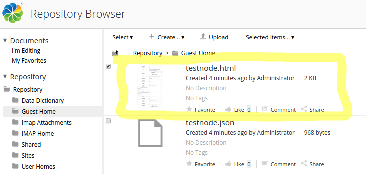 dev-extensions-repo-transformations-json2html-result
