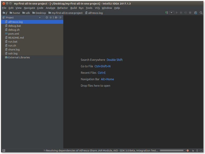 sdk-dev-env-intellij-finish