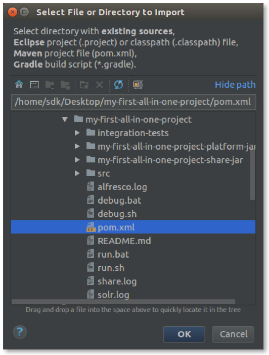 sdk-dev-env-intellij-import