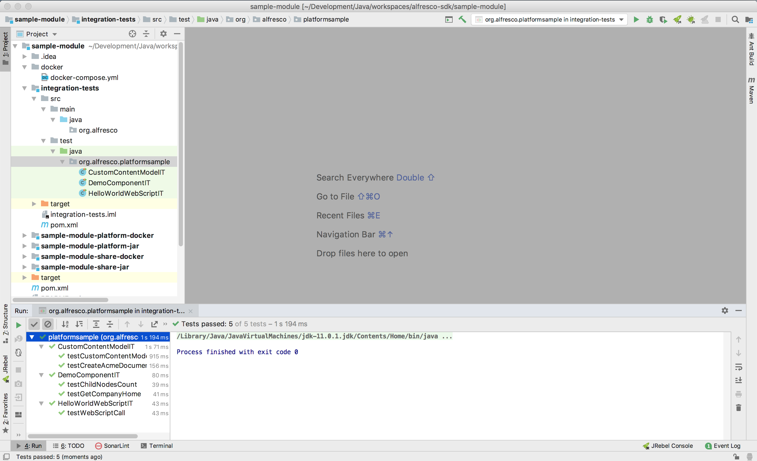 sdk-it-intellij-results