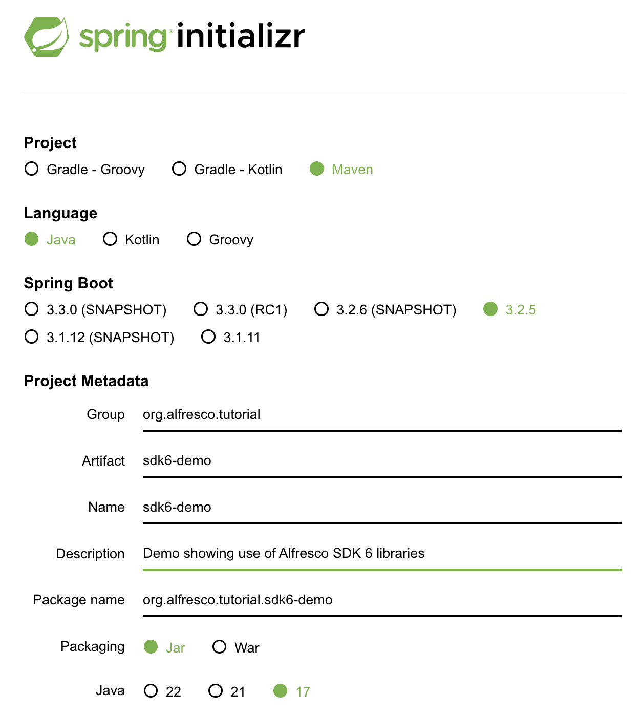 View the completed spring-initializr project info