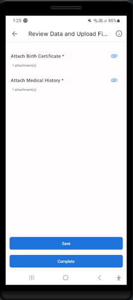 The Review and Upload Files task