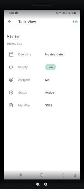 Task View screen with task's details