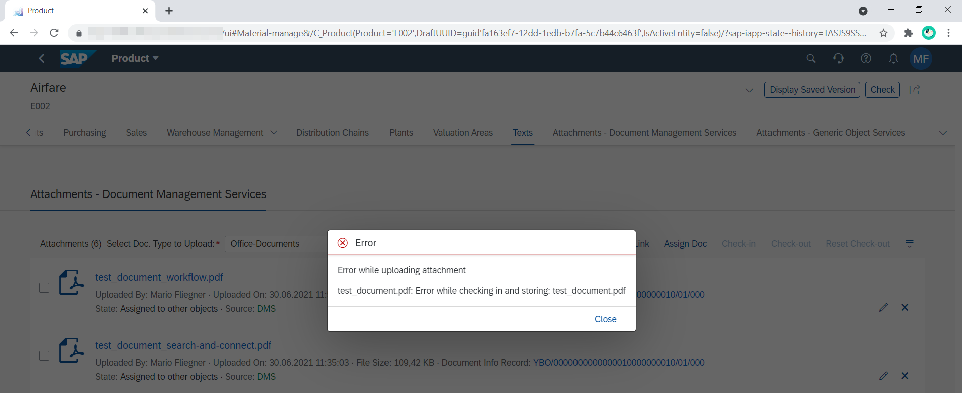 SAP Application Error